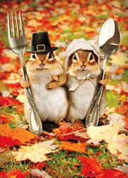 Avanti Thank You Card with Chipmunk Couple