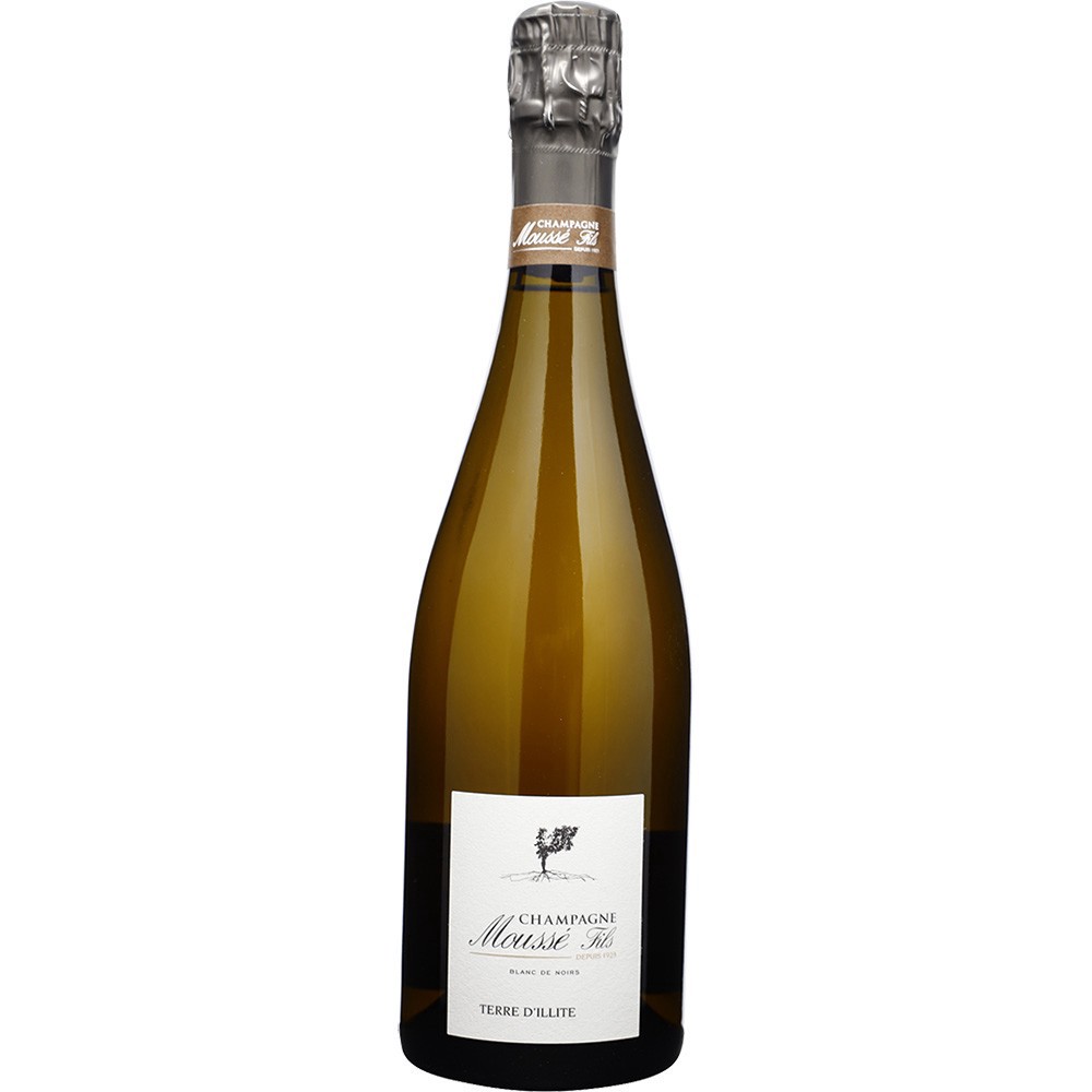 slide 1 of 1, Mousse Fils Mousse Brut Terre D'illite Milles, 750 ml