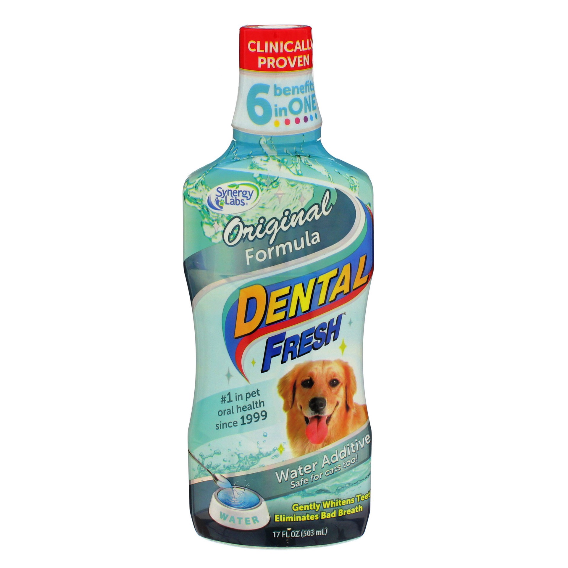 slide 1 of 1, Synergy Labs Dental Fresh Original Formula Water Additive, 17 oz
