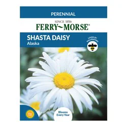 Ferry Morse Shasta Daisy, Alaska