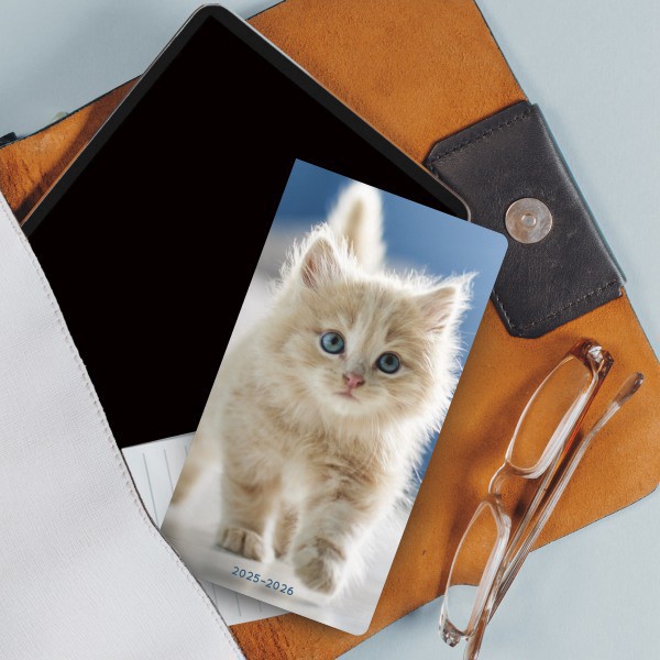 slide 2 of 8, 2025-2026 Dateworks Monthly Pocket Planner, 3-1/2"" X 6-1/2"", Kittens, January To December, 1 ct