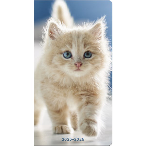 slide 1 of 8, 2025-2026 Dateworks Monthly Pocket Planner, 3-1/2"" X 6-1/2"", Kittens, January To December, 1 ct