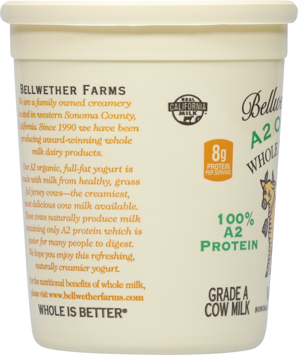 slide 4 of 12, Bellwether Farms Whole Milk Cow Milk Vanilla Yogurt 32 oz, 32 oz