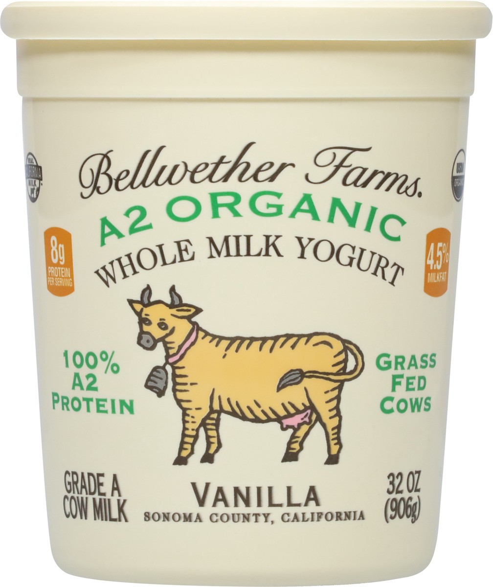 slide 3 of 12, Bellwether Farms Whole Milk Cow Milk Vanilla Yogurt 32 oz, 32 oz
