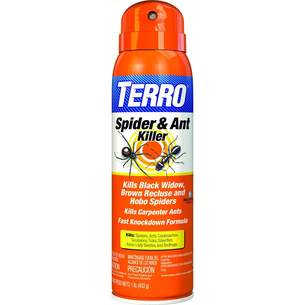 slide 1 of 1, TERRO Spider Ant Killer Spray, 16 oz