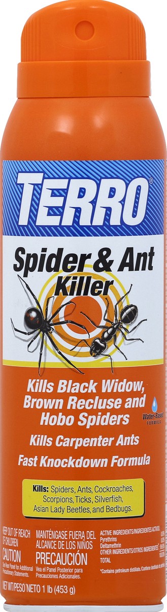 slide 1 of 3, Terro Spider & Ant Killer, 1 lb