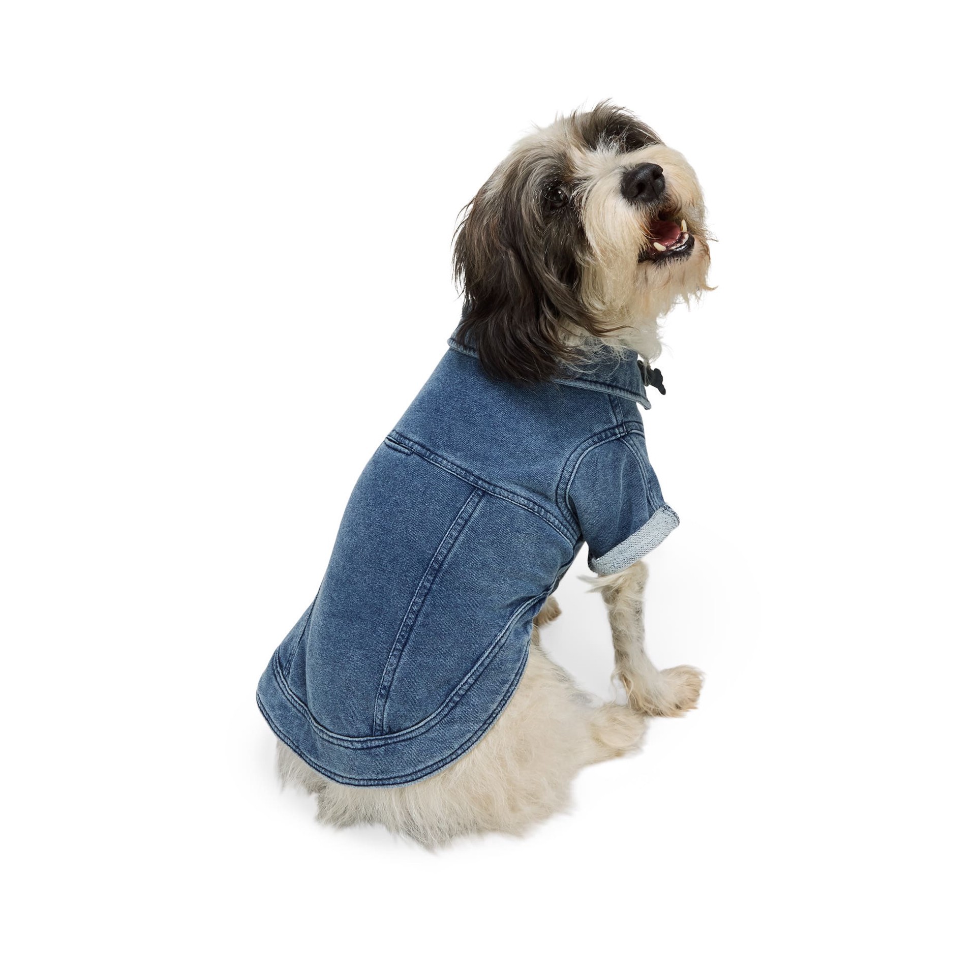 slide 1 of 1, YOULY Denim Pet Jacket, Medium, 1 ct