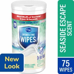 Kroger Seaside Escape Disinfecting Wipes