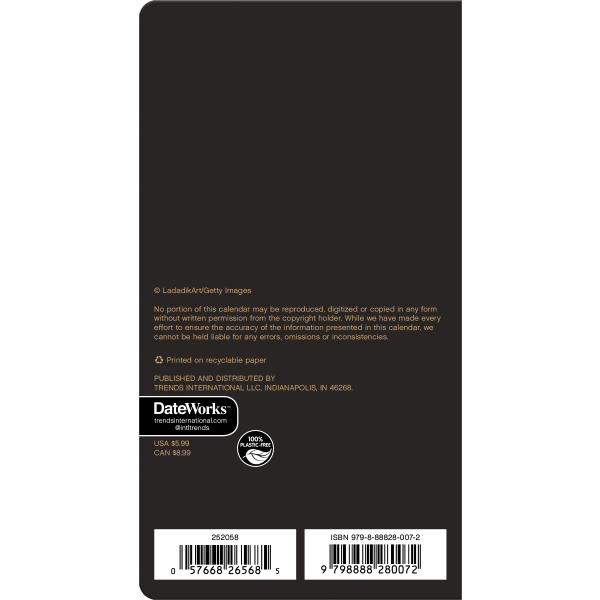 slide 4 of 8, 2025-2026 Dateworks Monthly Pocket Planner, 3-1/2"" X 6-1/2"", Celestial, January To December, 1 ct