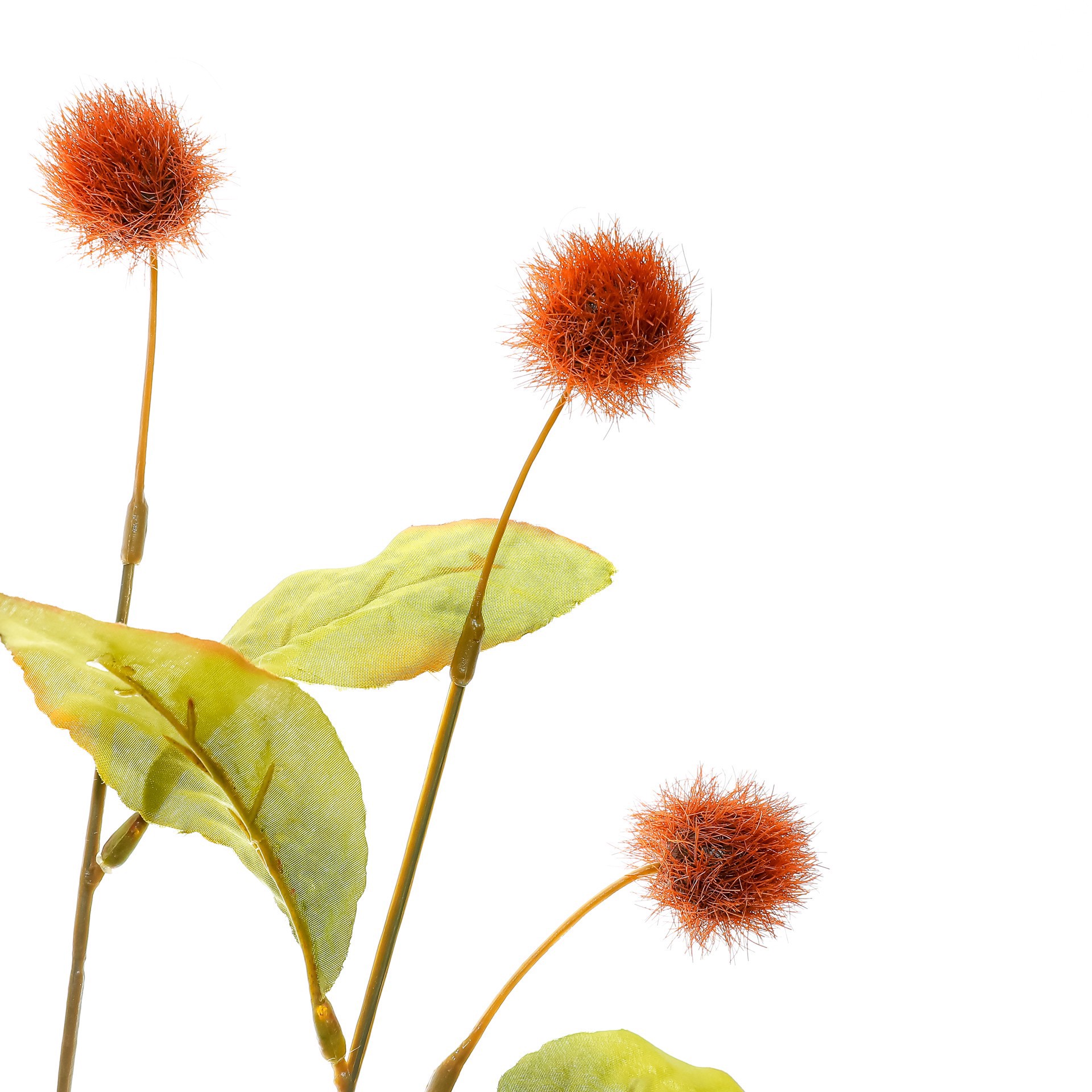 slide 3 of 3, 35" Brown Pom Pom Stem By Ashland, 35 in x 9 in x 2 in