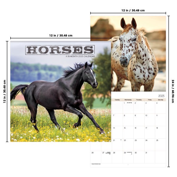slide 2 of 7, 2025 Dateworks Monthly Wall Calendar, 12"" X 12"", Horses, January To December, 1 ct