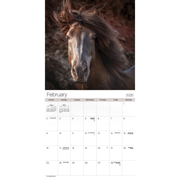 slide 5 of 7, 2025 Dateworks Monthly Wall Calendar, 12"" X 12"", Horses, January To December, 1 ct