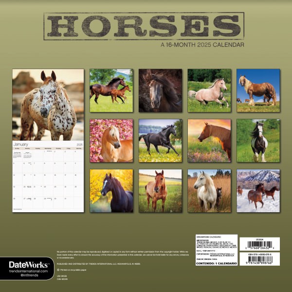 slide 3 of 7, 2025 Dateworks Monthly Wall Calendar, 12"" X 12"", Horses, January To December, 1 ct