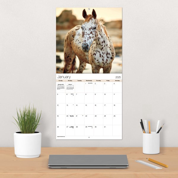slide 4 of 7, 2025 Dateworks Monthly Wall Calendar, 12"" X 12"", Horses, January To December, 1 ct