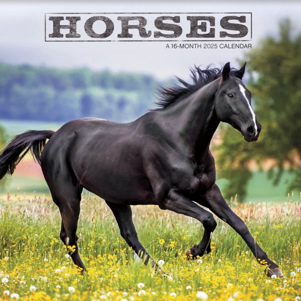 slide 1 of 7, 2025 Dateworks Monthly Wall Calendar, 12"" X 12"", Horses, January To December, 1 ct