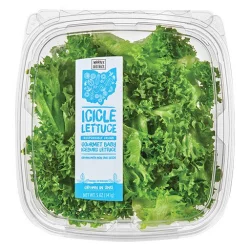 Giant Eagle Icicle Lettuce