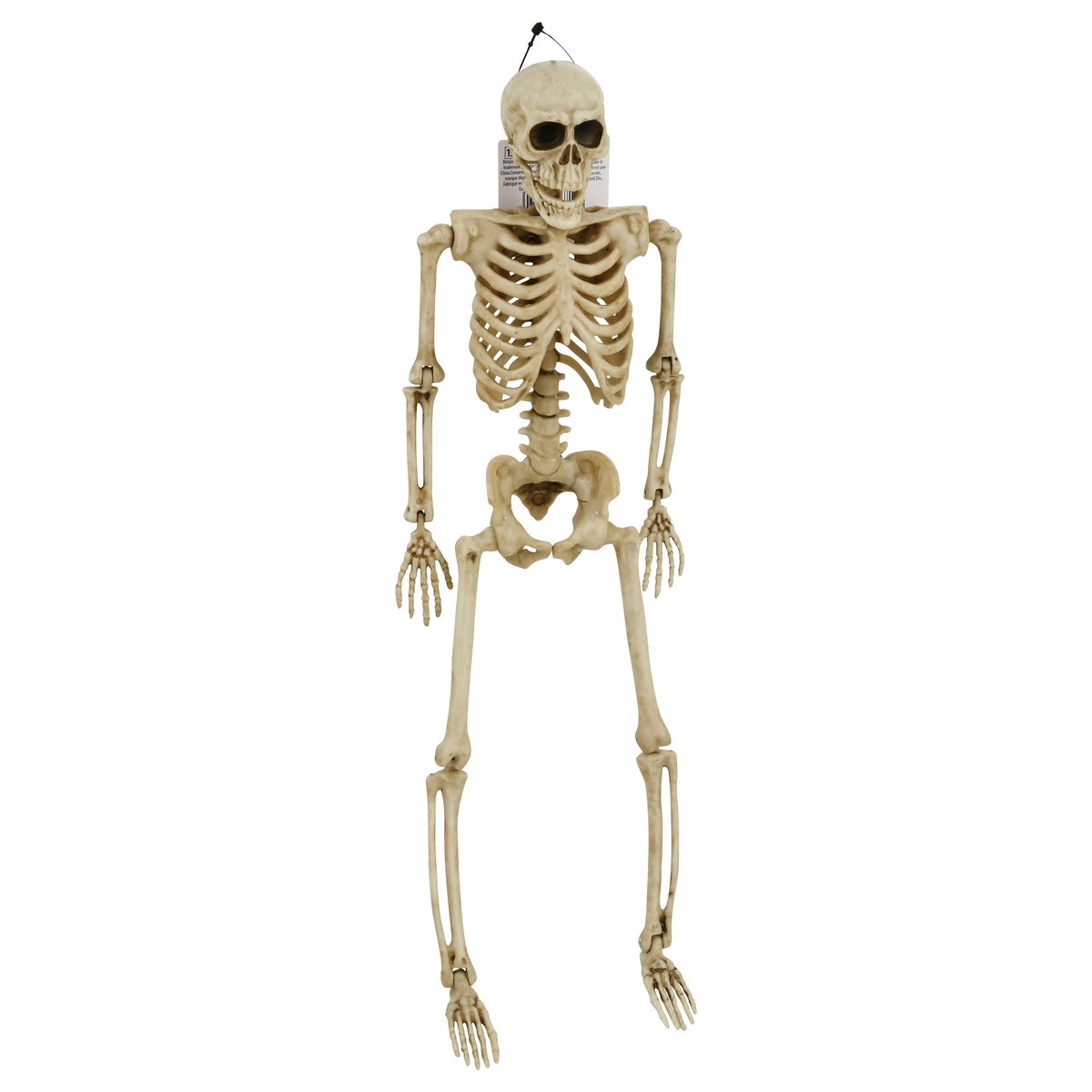 slide 2 of 9, Fun World 15+ Skeleton 1 ea, 1 ct