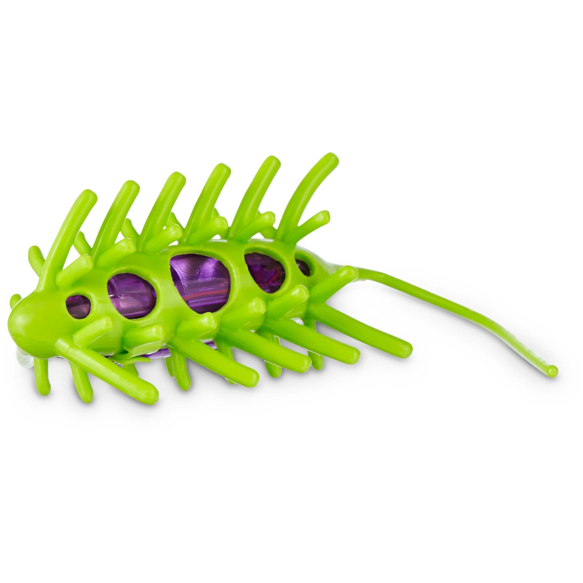 slide 1 of 1, Leaps & Bounds Wiggle Bug Cat Toy, 1 ct