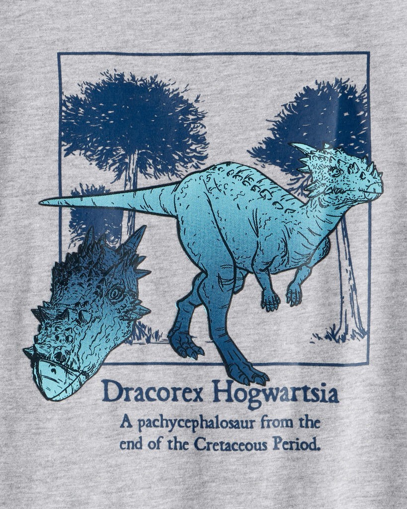 slide 2 of 2, Carter's Boys Dinosaur Short-Sleeve Graphic Tee - Grey Grey XL, 1 ct