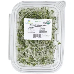 H2Organics Broccoli Microgreens