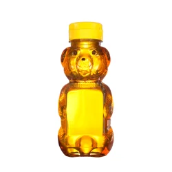 Publix Honey Bear Squeeze Bottle