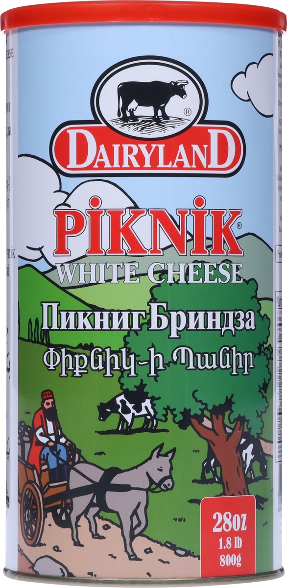 slide 5 of 13, Dairyland Piknik White Cheese 28 oz, 28 oz