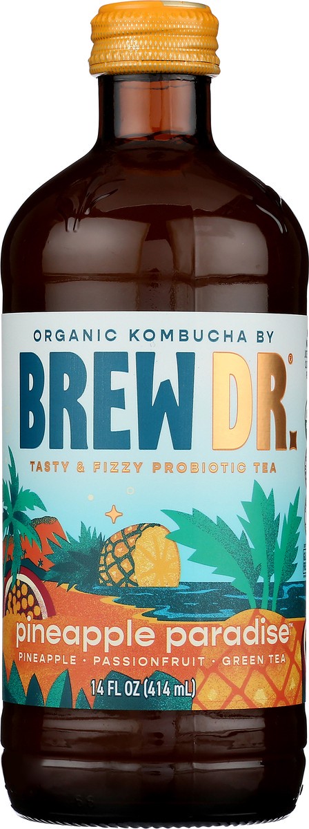 slide 6 of 9, Brew Dr. Pineapple Paradise Organic Kombucha, 14 oz