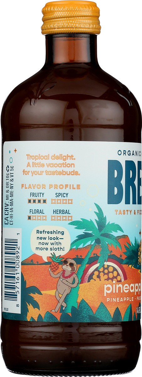 slide 7 of 9, Brew Dr. Pineapple Paradise Organic Kombucha, 14 oz