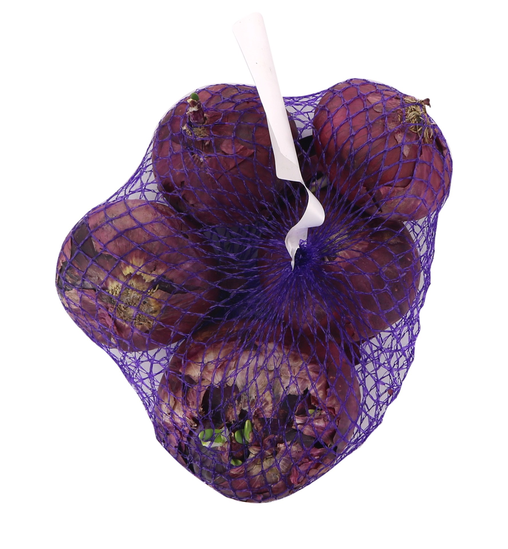 slide 1 of 1, Jumbo Red Onion, 400 oz