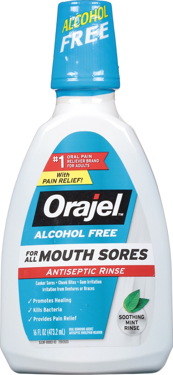 slide 3 of 9, Orajel Alcohol Free Antiseptic Rinse, 16 fl. oz., 16 fl oz