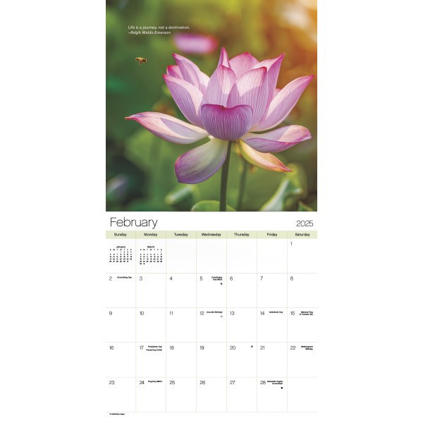 slide 4 of 7, 2025 Dateworks Monthly Wall Calendar, 12"" X 12"", Zen, January To December, 1 ct