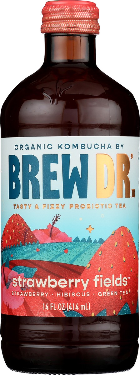 slide 2 of 9, Brew Dr. Kombucha, Organic, Strawberry Fields - 14 oz, 14 oz