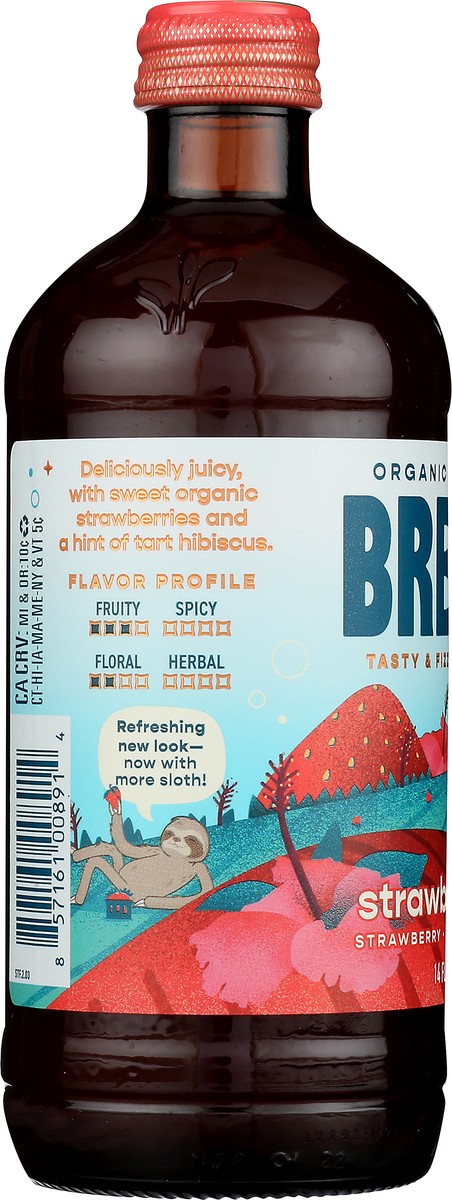 slide 3 of 9, Brew Dr. Kombucha, Organic, Strawberry Fields - 14 oz, 14 oz