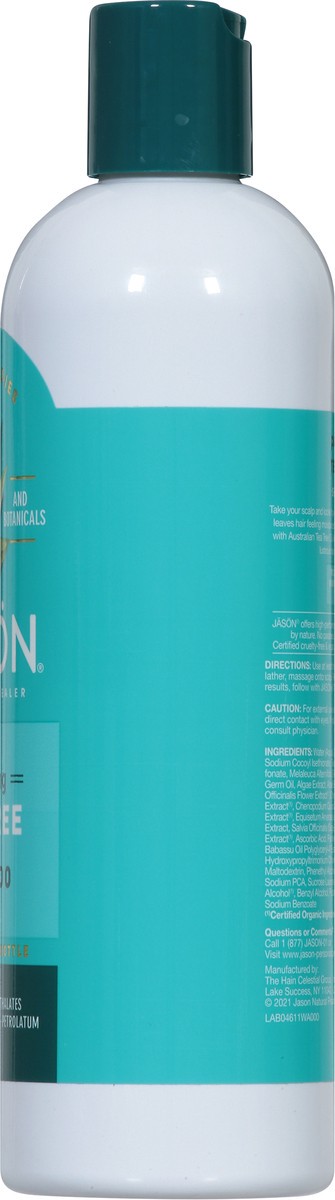 slide 8 of 9, Jason Purifying Tea Tree Shampoo 12 fl oz, 12 fl oz