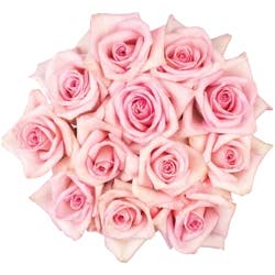 Giant Eagle Dozen Roses Bouquet