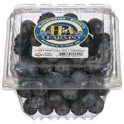 Fresh Blueberries, Organic