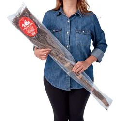 Bloom's Apple Splendor Broom 36'