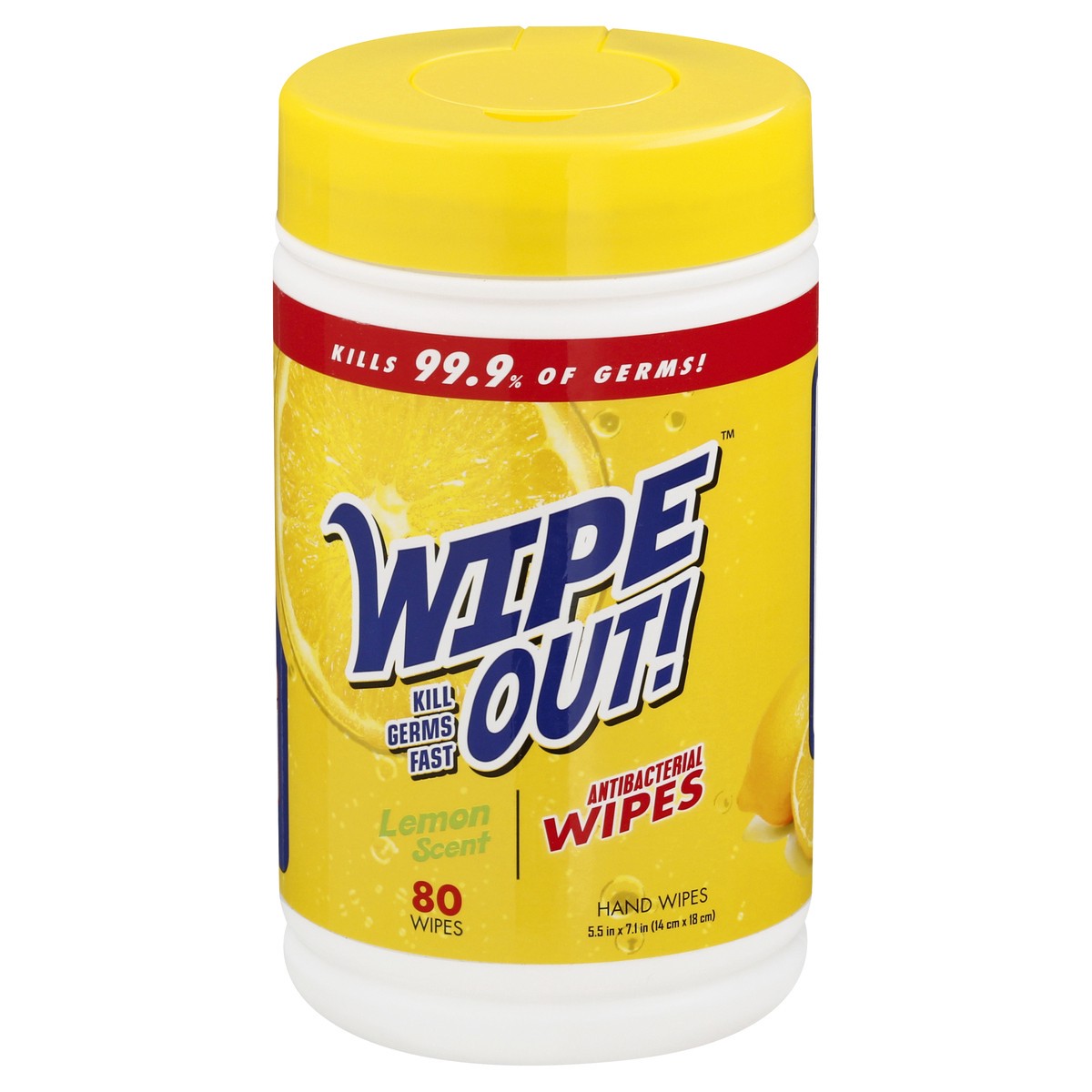 slide 7 of 12, Wipe Out! Antibacterial Fresh Scent Hand Wipes 80 ea, 80 ct