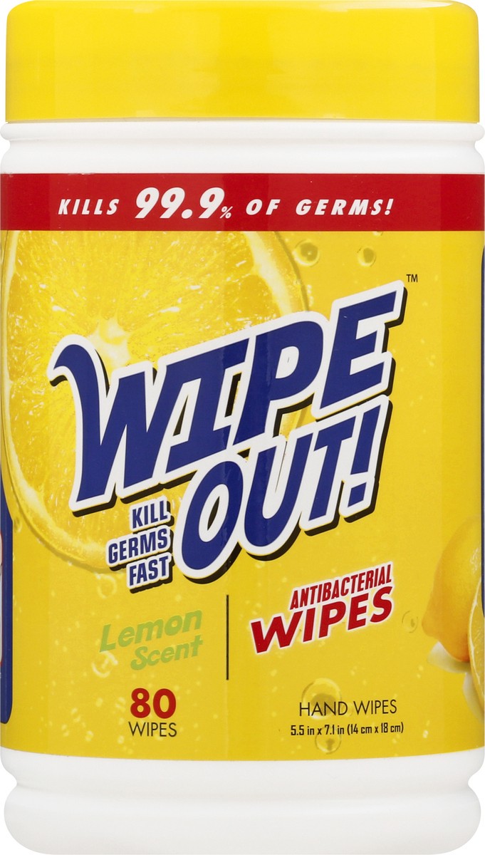 slide 1 of 12, Wipe Out! Antibacterial Fresh Scent Hand Wipes 80 ea, 80 ct