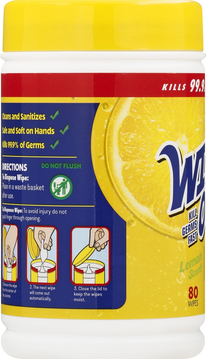 slide 4 of 12, Wipe Out! Antibacterial Fresh Scent Hand Wipes 80 ea, 80 ct