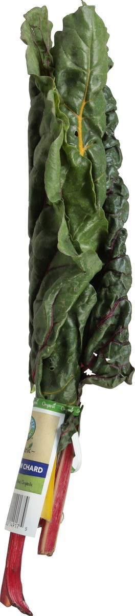 slide 9 of 14, Full Circle Market Organic Rainbow Chard 1 ea, 1 ea