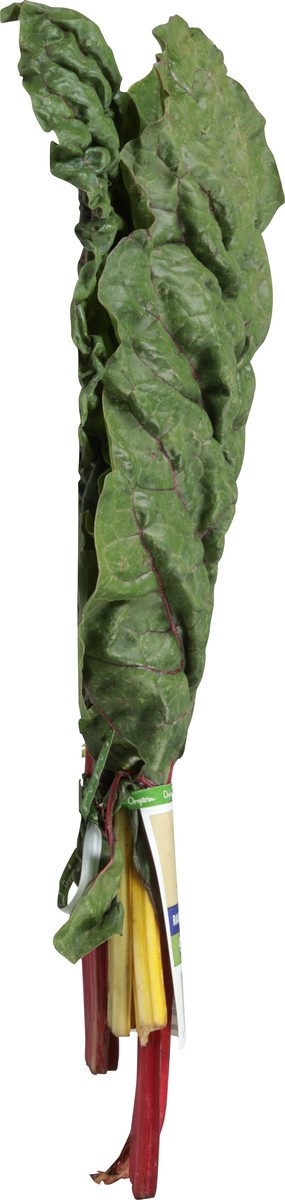 slide 8 of 14, Full Circle Market Organic Rainbow Chard 1 ea, 1 ea