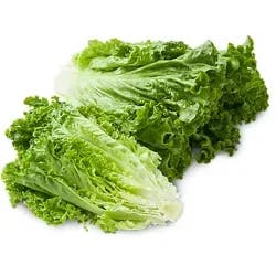 Organic Green Leaf Lettuce