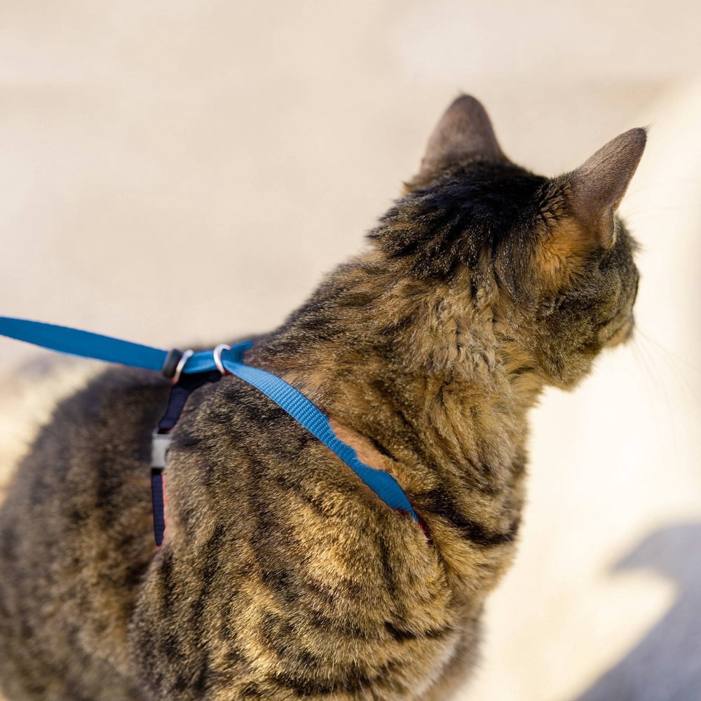 slide 2 of 4, PetSafe Gentle Leader Come with Me Kitty Harness & BunGee Leash in Blue, LG