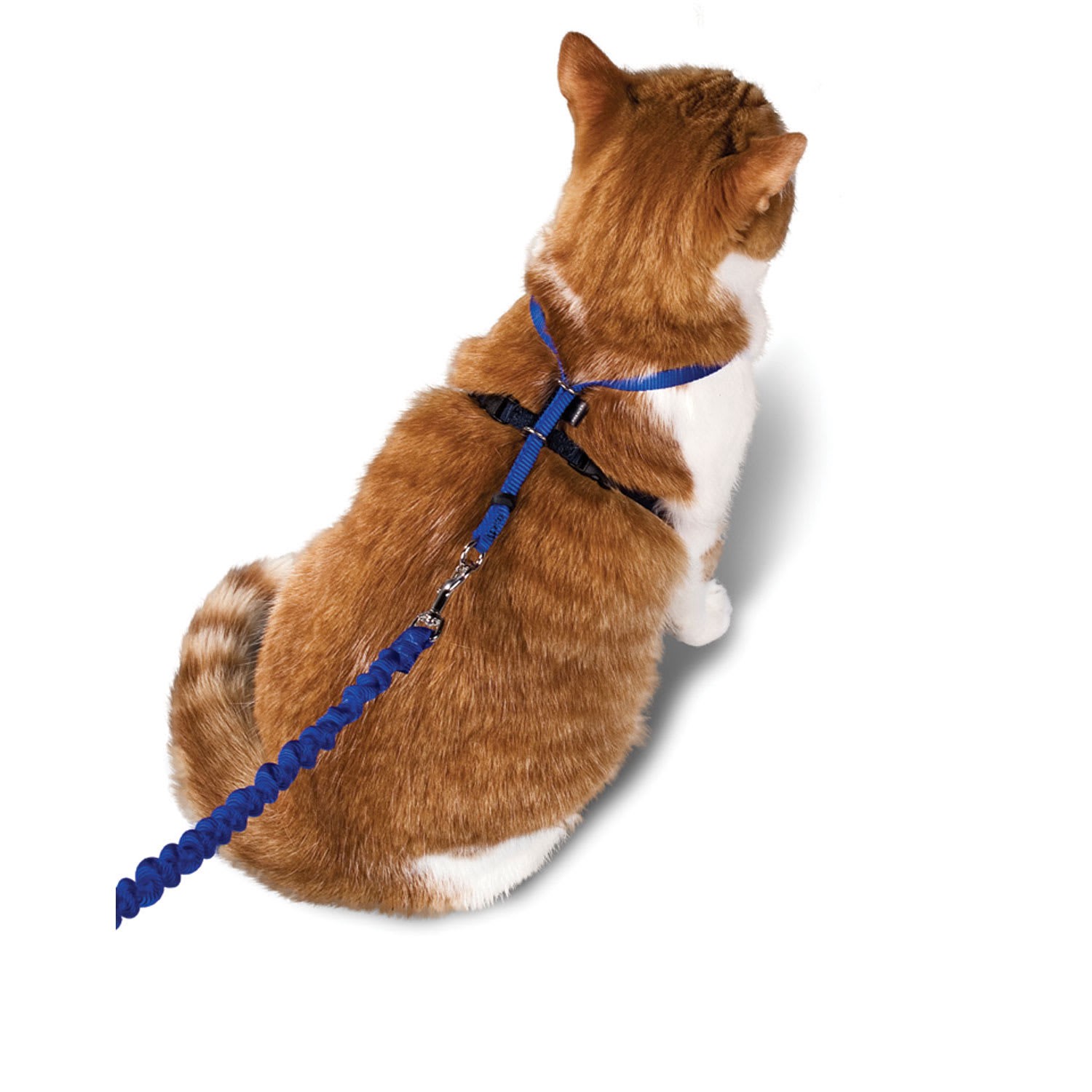 slide 1 of 4, PetSafe Gentle Leader Come with Me Kitty Harness & BunGee Leash in Blue, LG