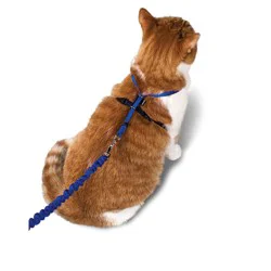 PetSafe Kitty Harness & Leash Lg Royal