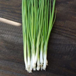 High Mowing Organic Seeds Chive Seeds