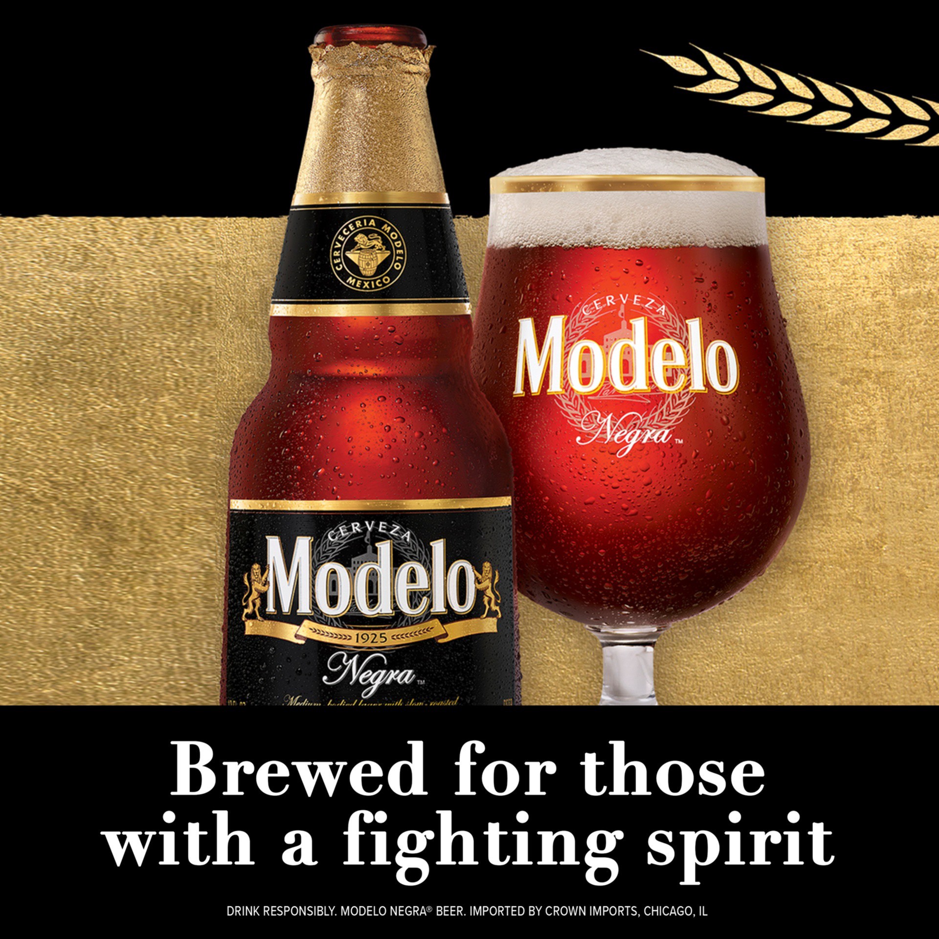 slide 2 of 6, Modelo Negra Modelo, 12 fl oz
