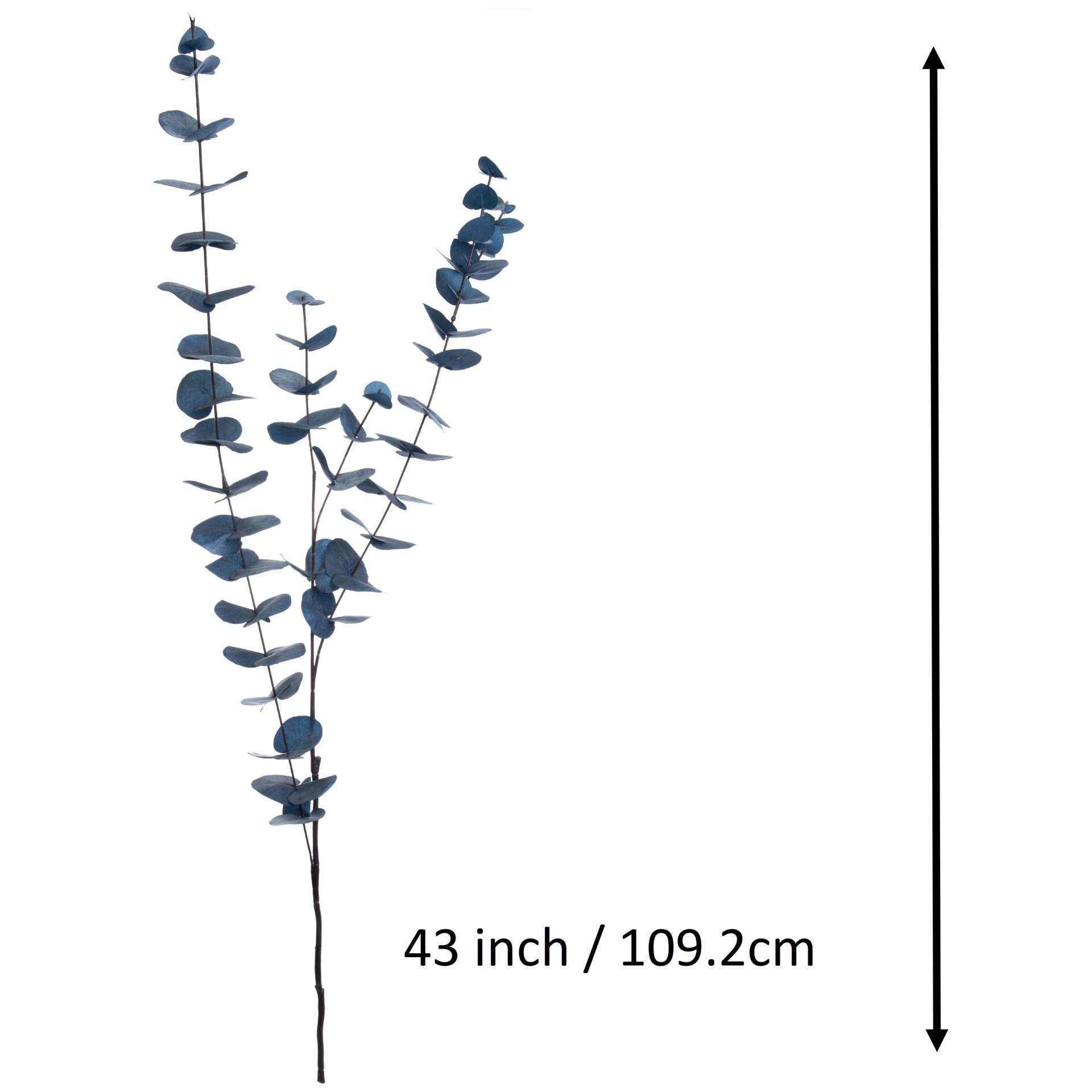 slide 2 of 3, 43" Blue Eucalyptus Stem By Ashland, 9.5 in x 2.5 in x 43 in