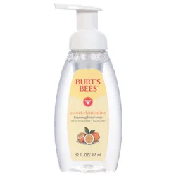 Burt's Bees Foaming Hand Soap